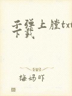 子弹上膛txt下载