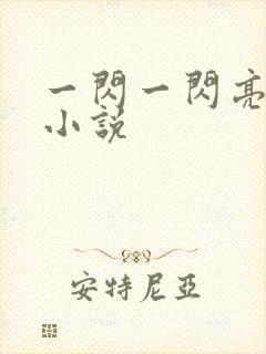 一闪一闪亮星星小说