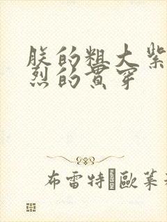 朕的粗大紫红猛烈的贯穿