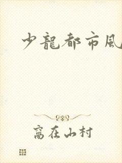 少龙都市风流行