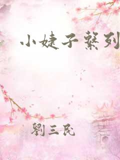 小婕子系列小说