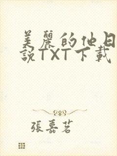 美丽的他日剧小说TXT下载