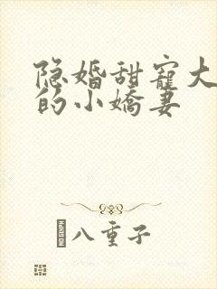 隐婚甜宠大财阀的小娇妻