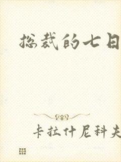 总裁的七日恋人