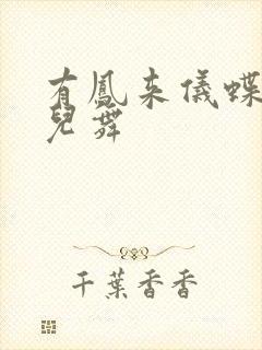 有凤来仪蝶儿蝶儿舞