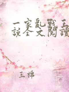 一家乱战王芳小说全文阅读