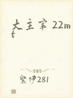 大主宰 22mt