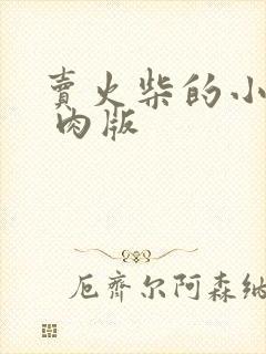 卖火柴的小男孩 肉版