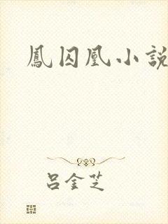 凤囚凰小说