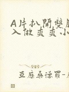 A片扒开双腿进入做爽爽小说