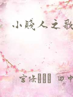 小贱人之歌