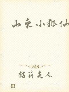 山东小狐仙