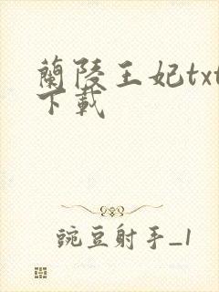 兰陵王妃txt下载