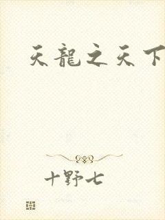 天龙之天下有我