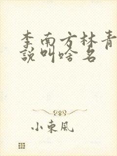 李南方林青青小说叫啥名