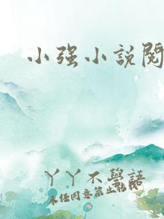 小强小说阅读网
