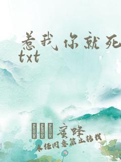 惹我你就死定了txt