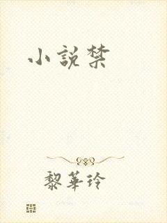 小说禁