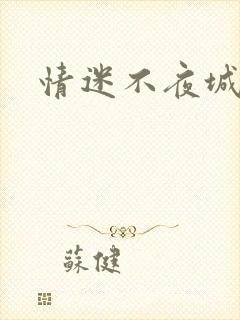 情迷不夜城