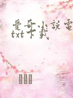 爱奇小说电子书txt下载