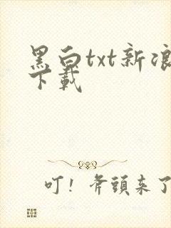 黑白txt新浪下载
