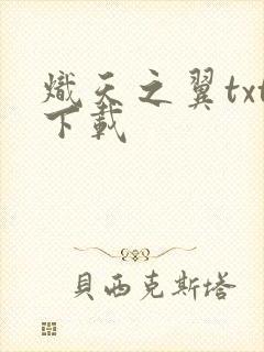 炽天之翼txt下载
