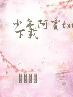 少年阿宾txt 下载