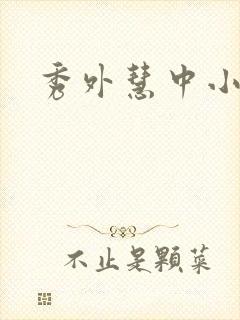 秀外慧中小说