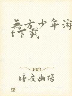 无方少年游txt下载