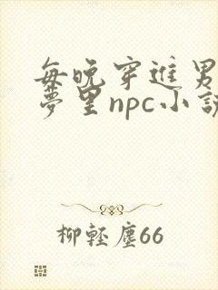 每晚穿进男神的梦里npc小说