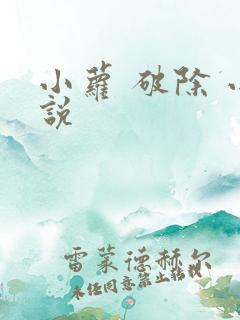 小萝 破除 小说