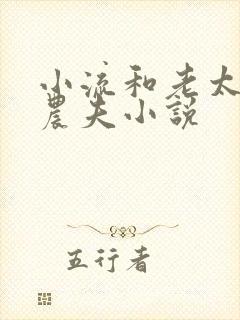 小流和老太69农夫小说