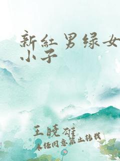 新红男绿女之坏小子