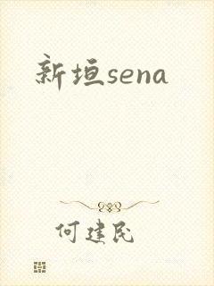 新垣sena
