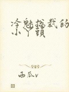 冷魅总裁的纯纯小丫头