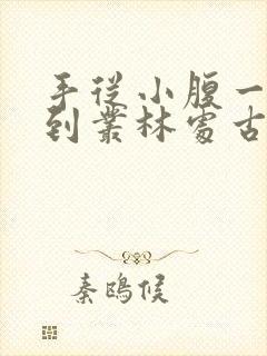 手从小腹一路开到丛林处古代