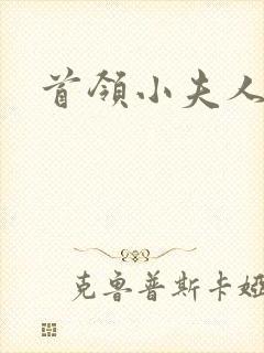 首领小夫人