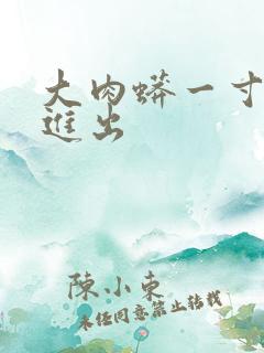 大肉蟒一寸一寸进出