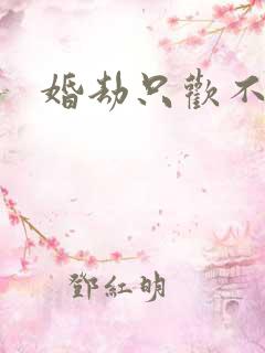 婚劫只欢不爱