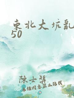 东北大坑乱1—50