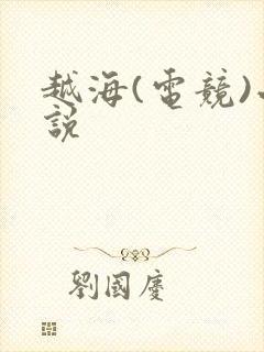 越海(电竞)小说