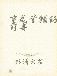 穿成首辅的炮灰前妻