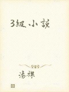 3级小说