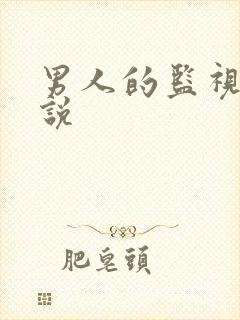男人的监视下小说