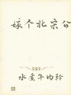 嫁个北宋公务员