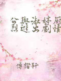 公与淑婷厨房猛烈进出剧情介绍