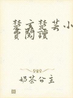 楚玄楚芸小说免费阅读