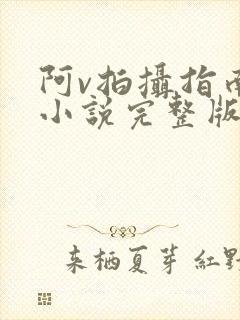 阿v拍摄指南说小说完整版