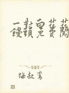 一对白花花的大馒头免费阅读