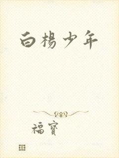 白杨少年
